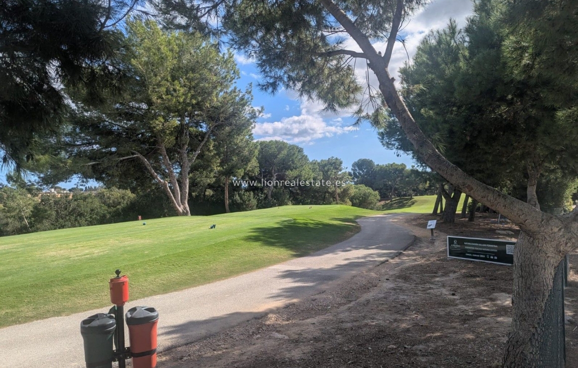 New Build - Villa - Pilar de la Horadada - Pinar de Campoverde