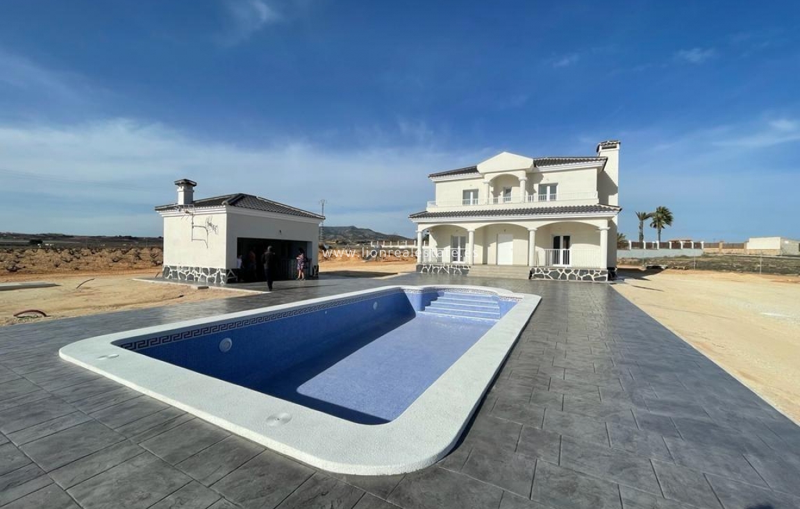 New Build - Villa - Pinoso - Camino Del Prado