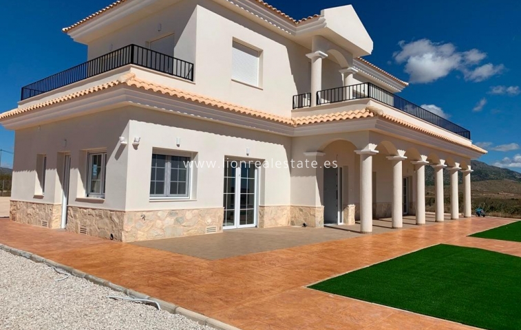 New Build - Villa - Pinoso - Camino Del Prado