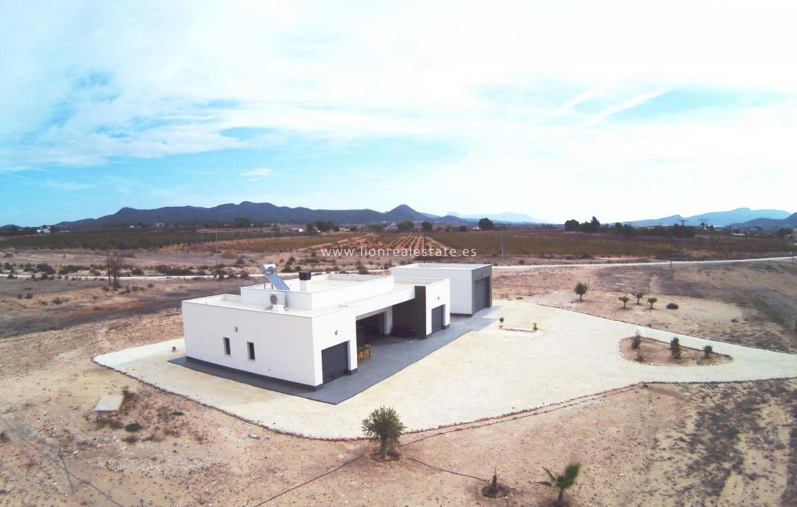 New Build - Villa - Pinoso - Camino Del Prado