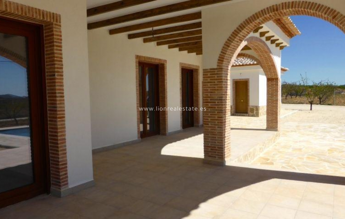 New Build - Villa - Pinoso - Centro