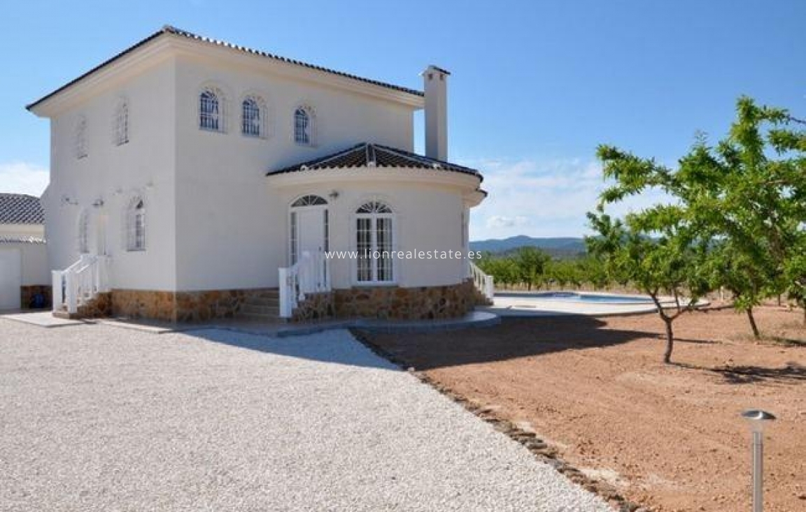 New Build - Villa - Pinoso - Lel