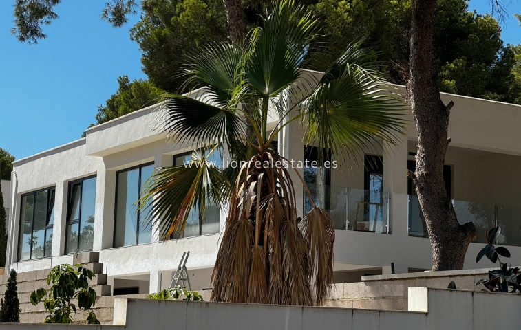 New Build - Villa - Torrevieja - Los Balcones