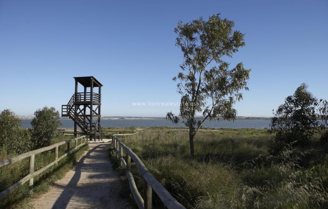 Новое здание - Бунгало - Torrevieja - Aguas Nuevas