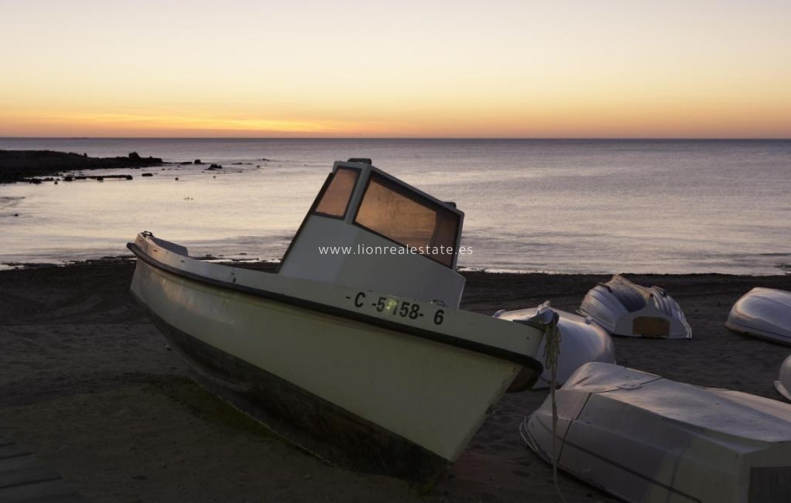 Новое здание - Бунгало - Torrevieja - Aguas Nuevas