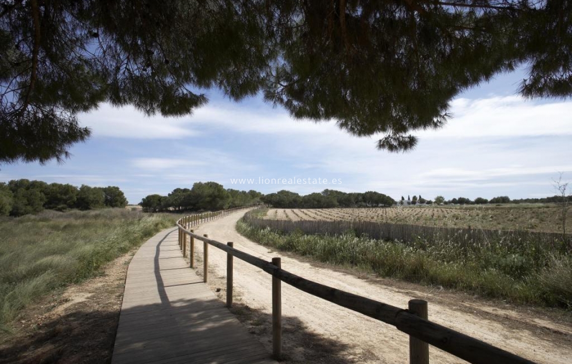 Новое здание - Бунгало - Torrevieja - Aguas Nuevas