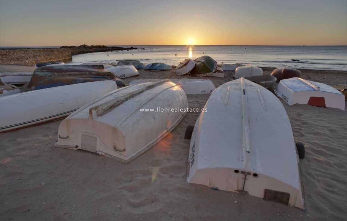 Новое здание - Бунгало - Torrevieja - Aguas Nuevas