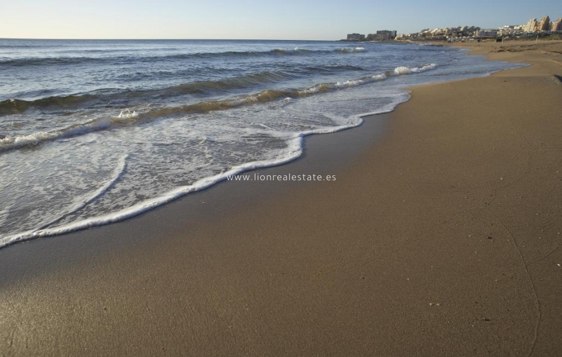 Новое здание - Бунгало - Torrevieja - Aguas Nuevas