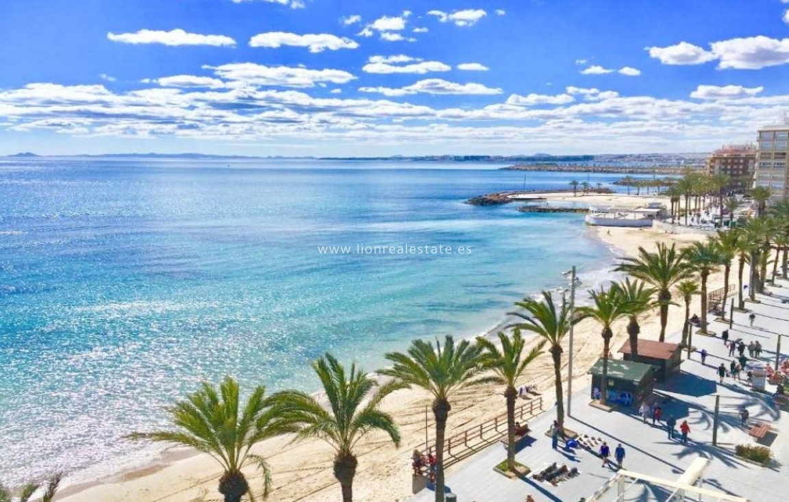 Новое здание - Бунгало - Torrevieja - Lago Jardín II