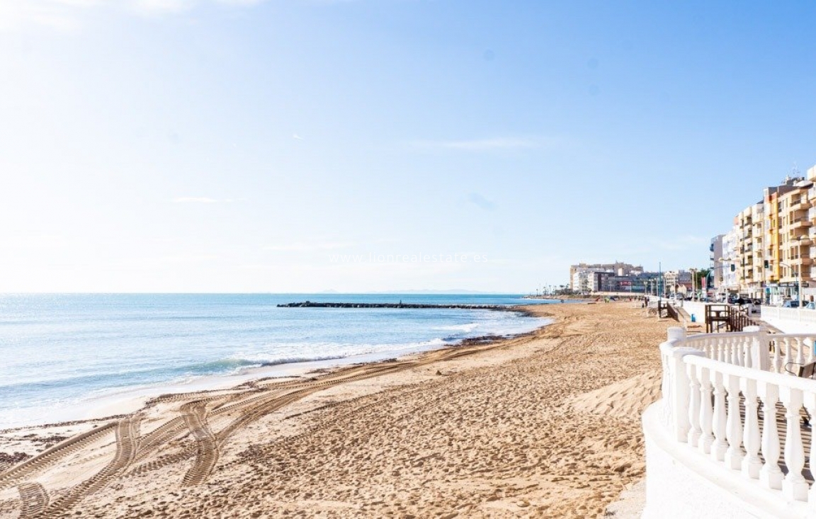 Новое здание - Бунгало - Torrevieja - Lago Jardín II