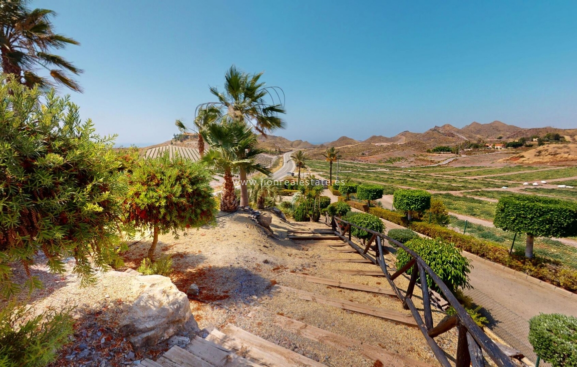 Новое здание - detached - Aguilas - Águilas