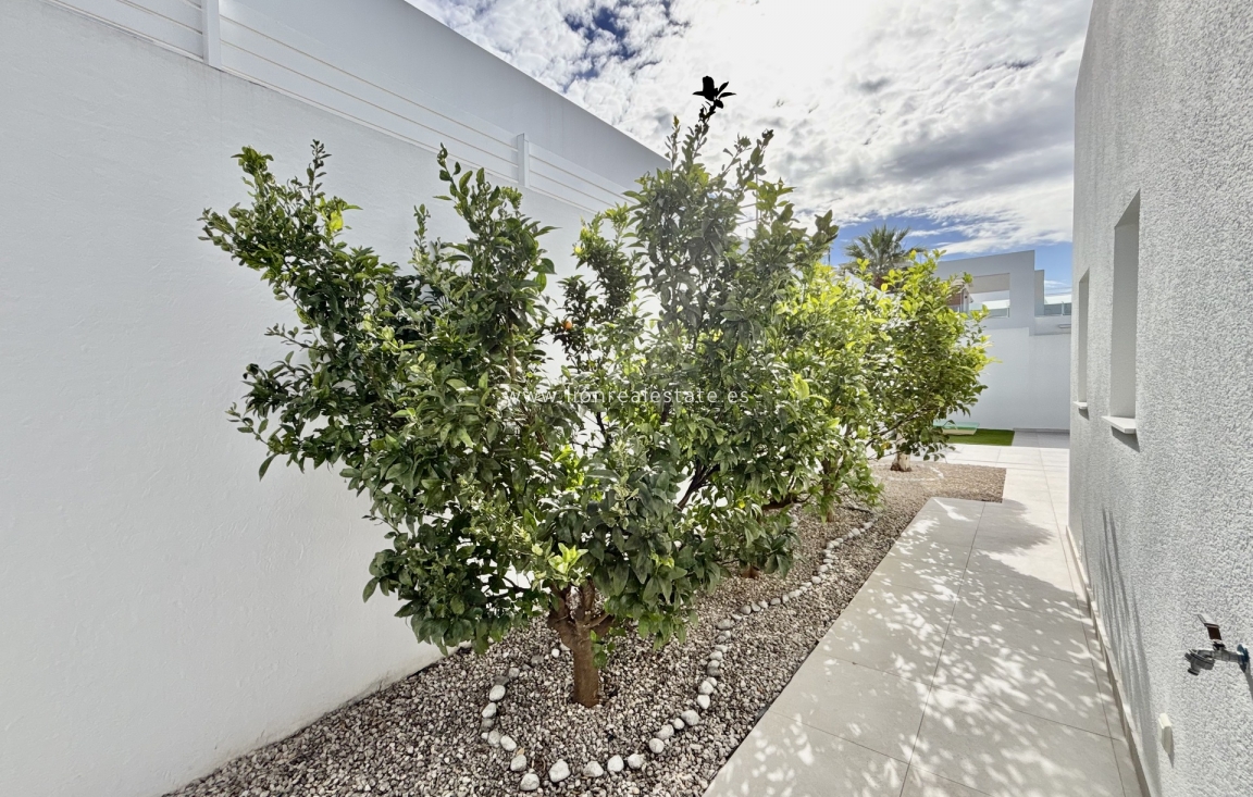 Новое здание - detached - Benijofar - Benijófar