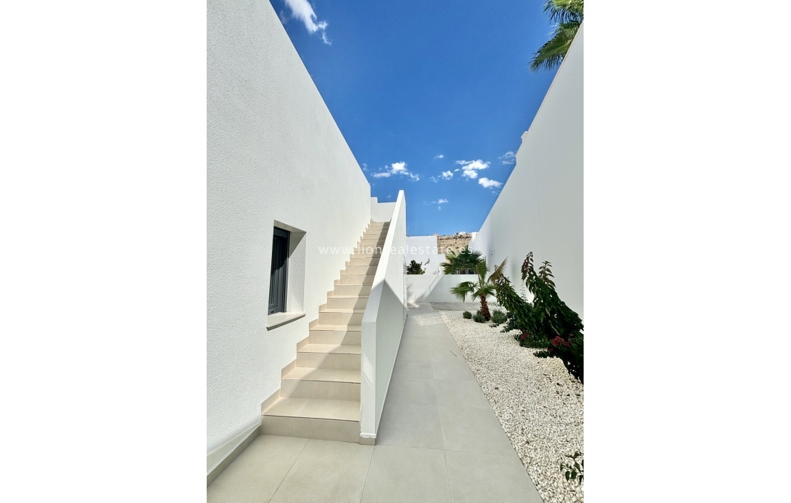 Новое здание - detached - Benijofar - Benijófar