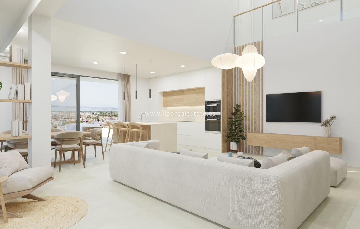 Новое здание - detached - Ciudad Quesada