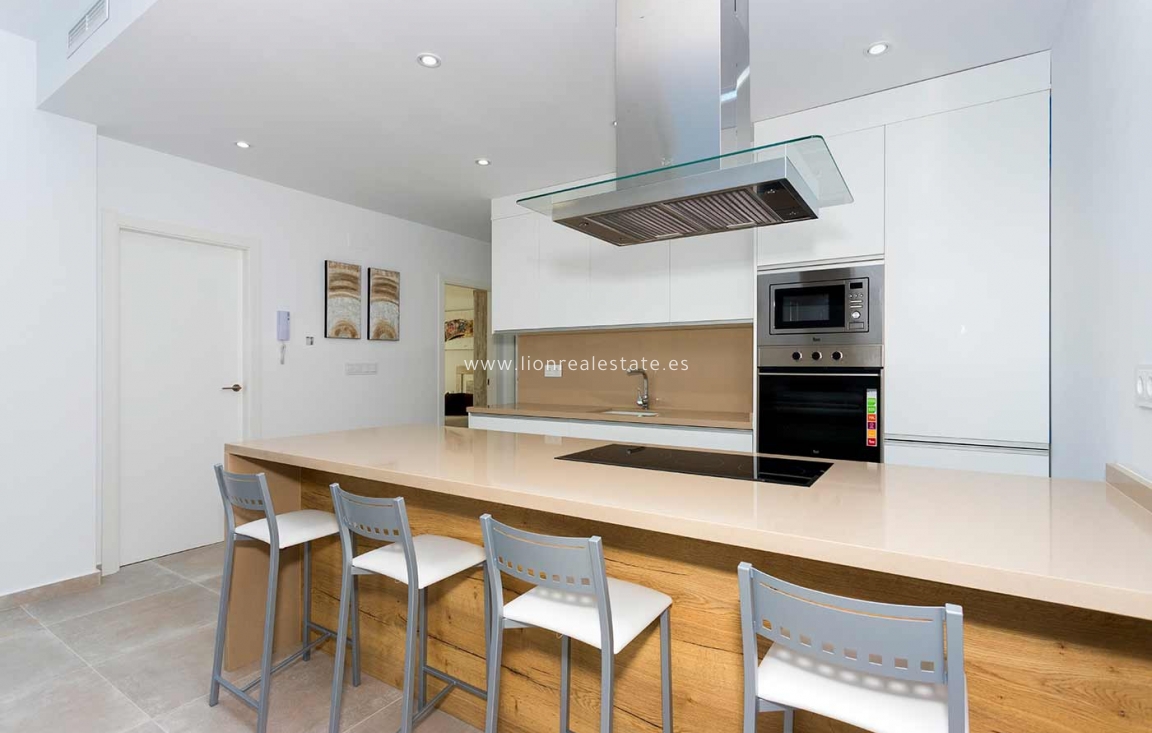 Новое здание - detached - Daya Nueva