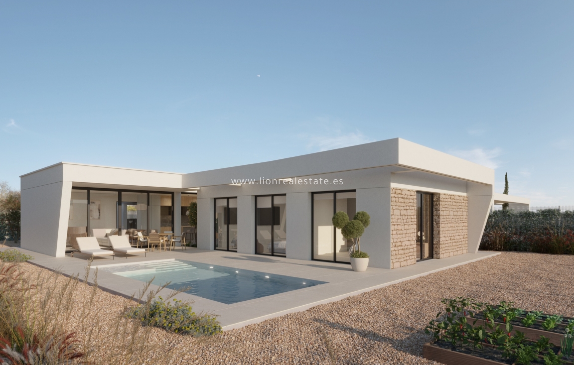 Новое здание - detached - Fuente Álamo - Fuente Alamo