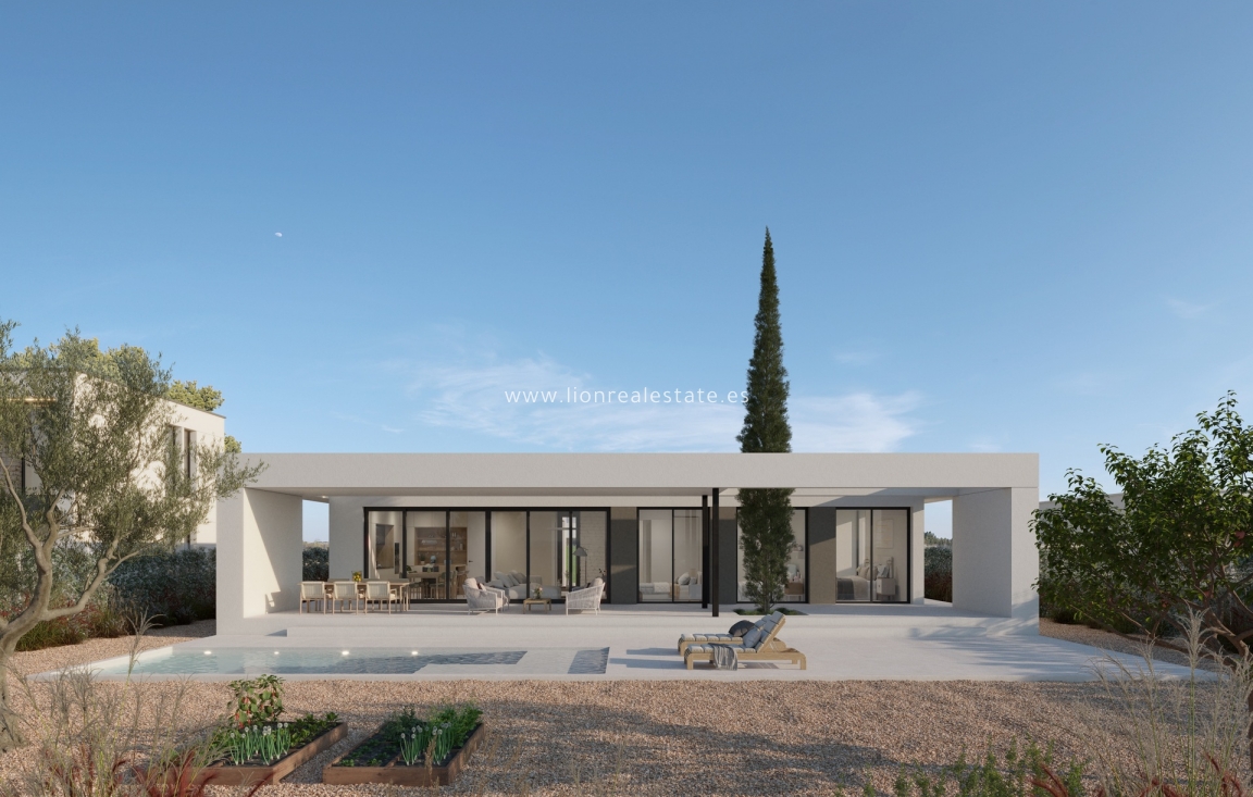 Новое здание - detached - Fuente Álamo - Fuente Alamo