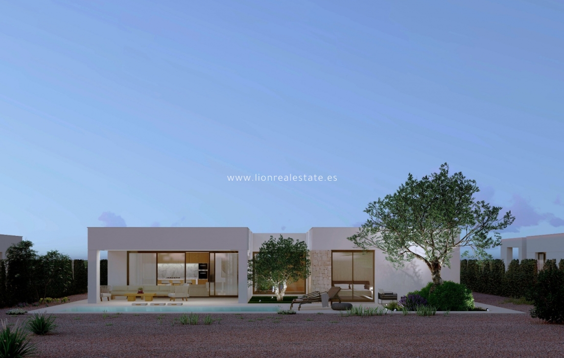 Новое здание - detached - Fuente Álamo - Fuente Alamo