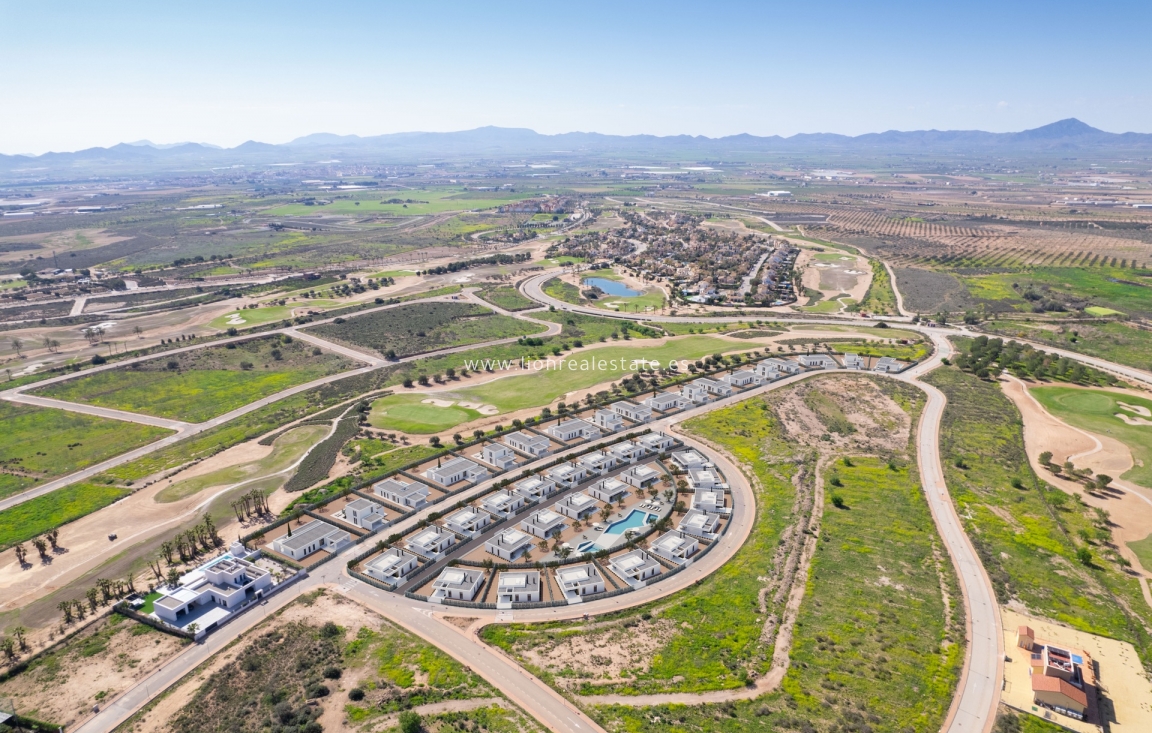 Новое здание - detached - Fuente Álamo - Fuente Alamo