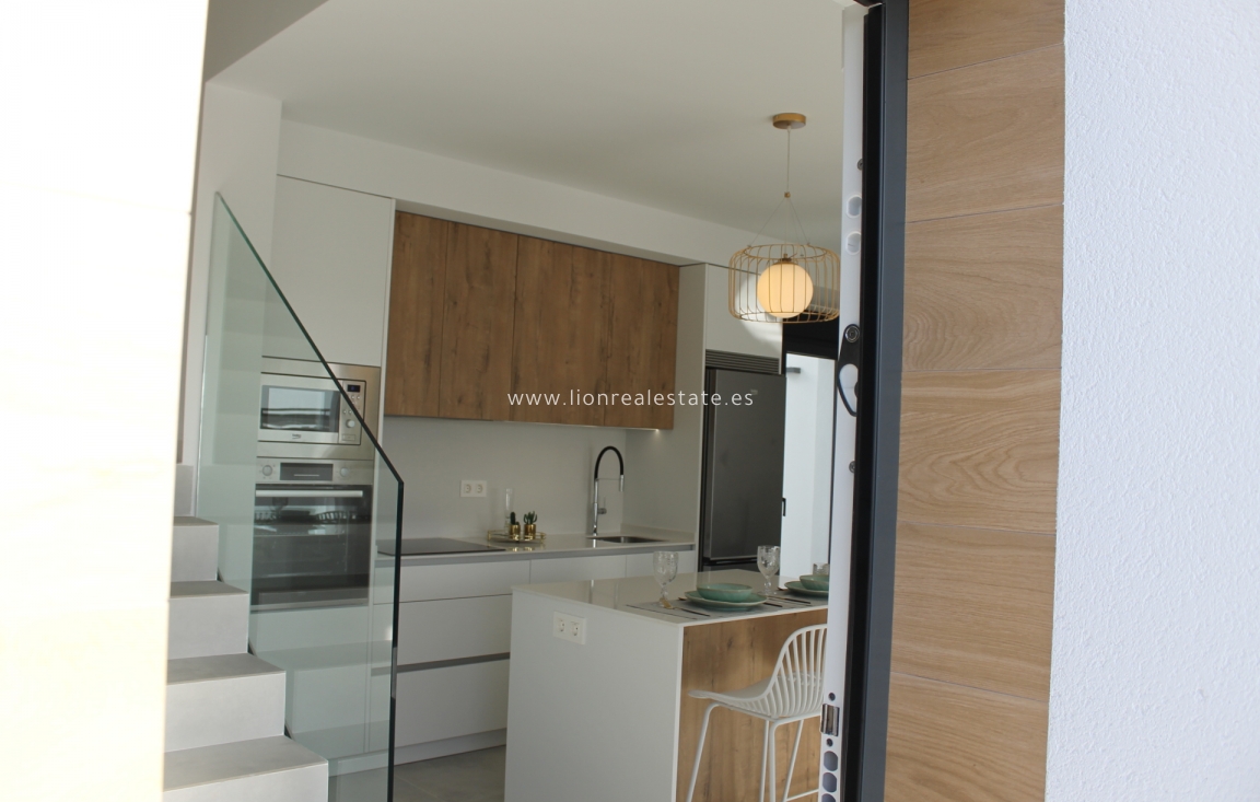 Новое здание - detached - Torre-Pacheco