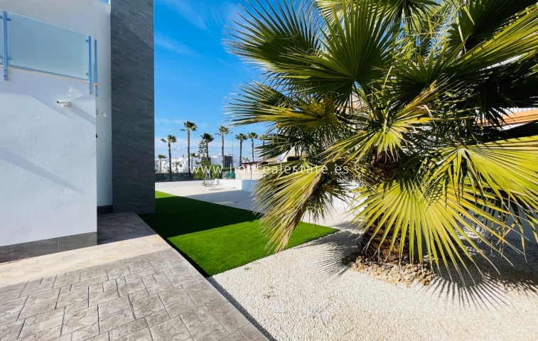 Новое здание - detached - Torrevieja