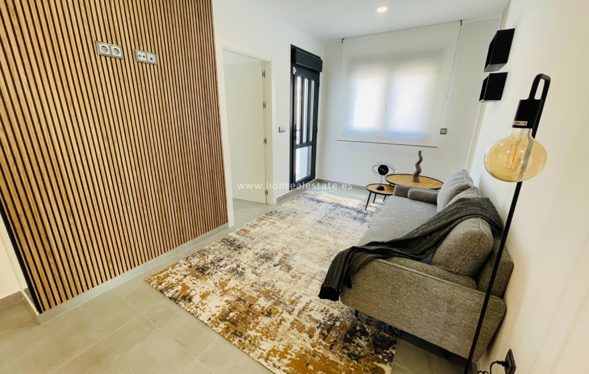 Новое здание - detached - Torrevieja