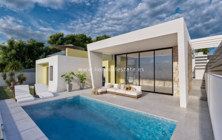 Новое здание - detached - Torrevieja