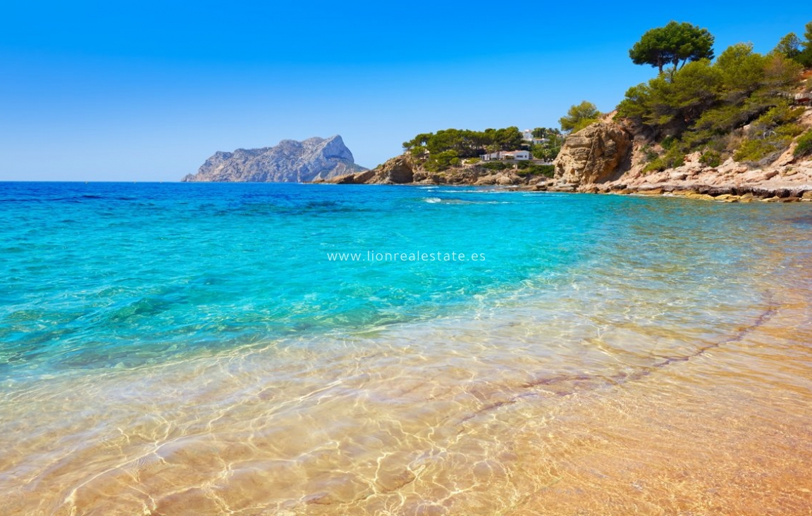 Новое здание - ground-floor - Algorfa