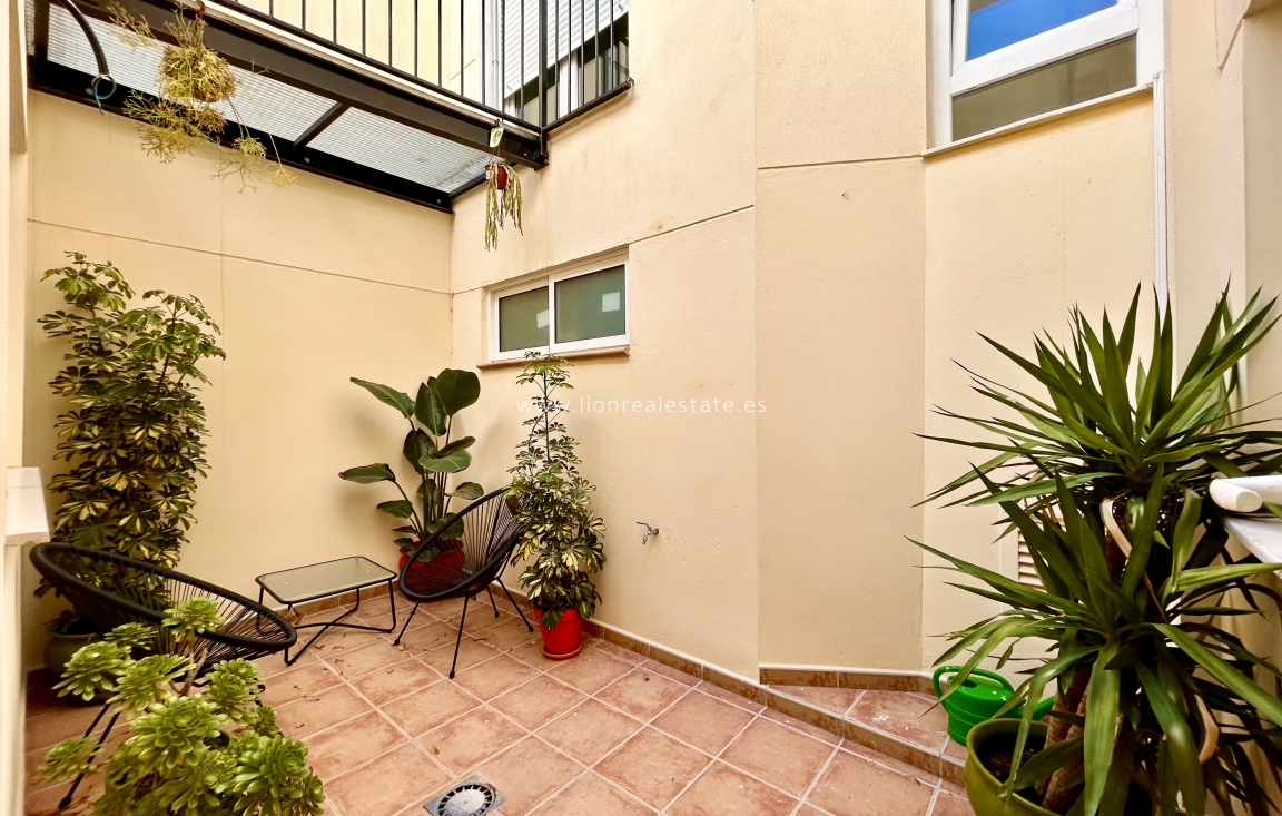 Новое здание - ground-floor - Alicante (Alacant)