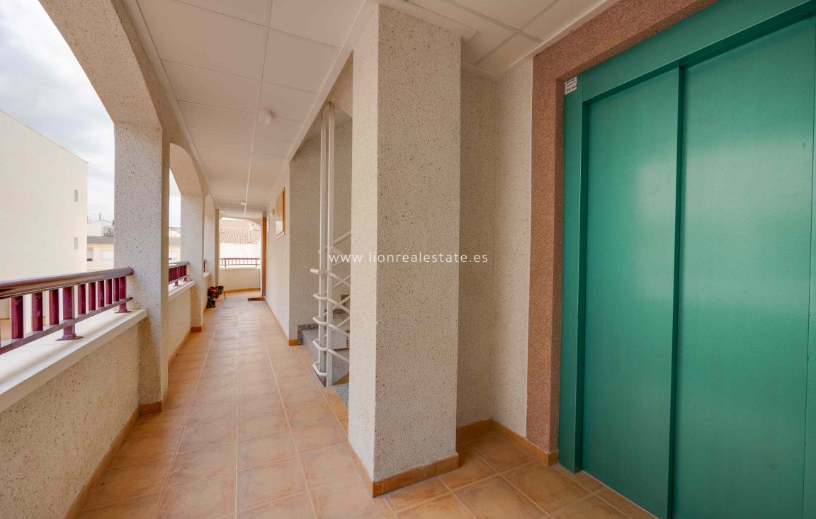 Новое здание - ground-floor - San Fulgencio