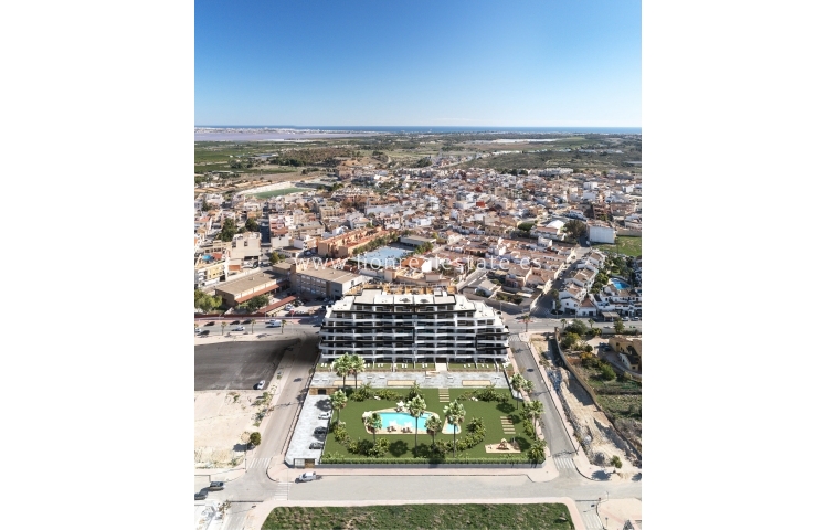 Новое здание - ground-floor - San Miguel de Salinas - San Miguel De Salinas
