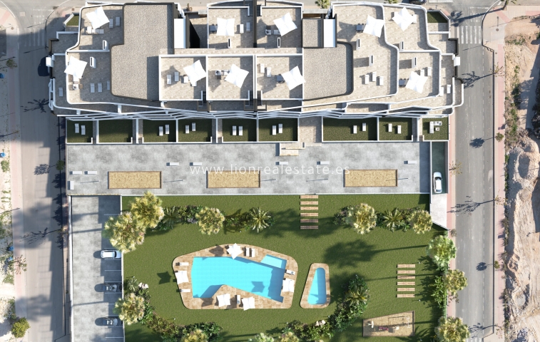 Новое здание - ground-floor - San Miguel de Salinas - San Miguel De Salinas