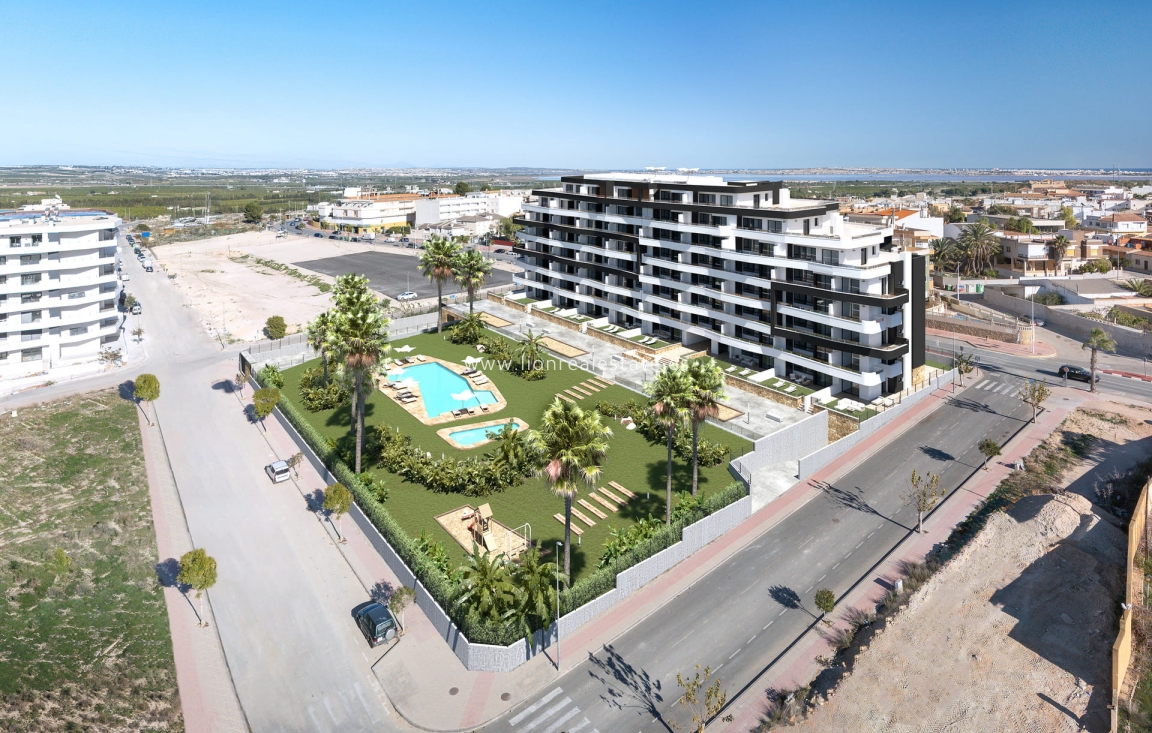 Новое здание - ground-floor - San Miguel de Salinas - San Miguel De Salinas