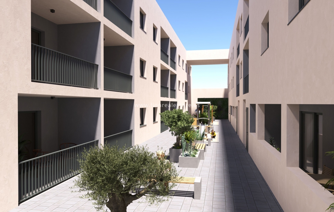 Новое здание - ground-floor - San Miguel de Salinas - San Miguel De Salinas