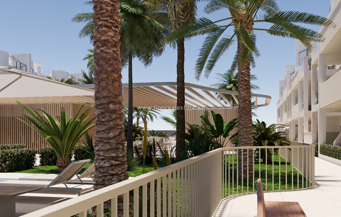 Новое здание - ground-floor - Torre-Pacheco