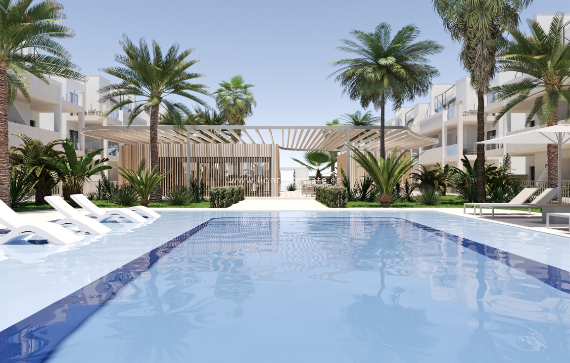 Новое здание - ground-floor - Torre-Pacheco