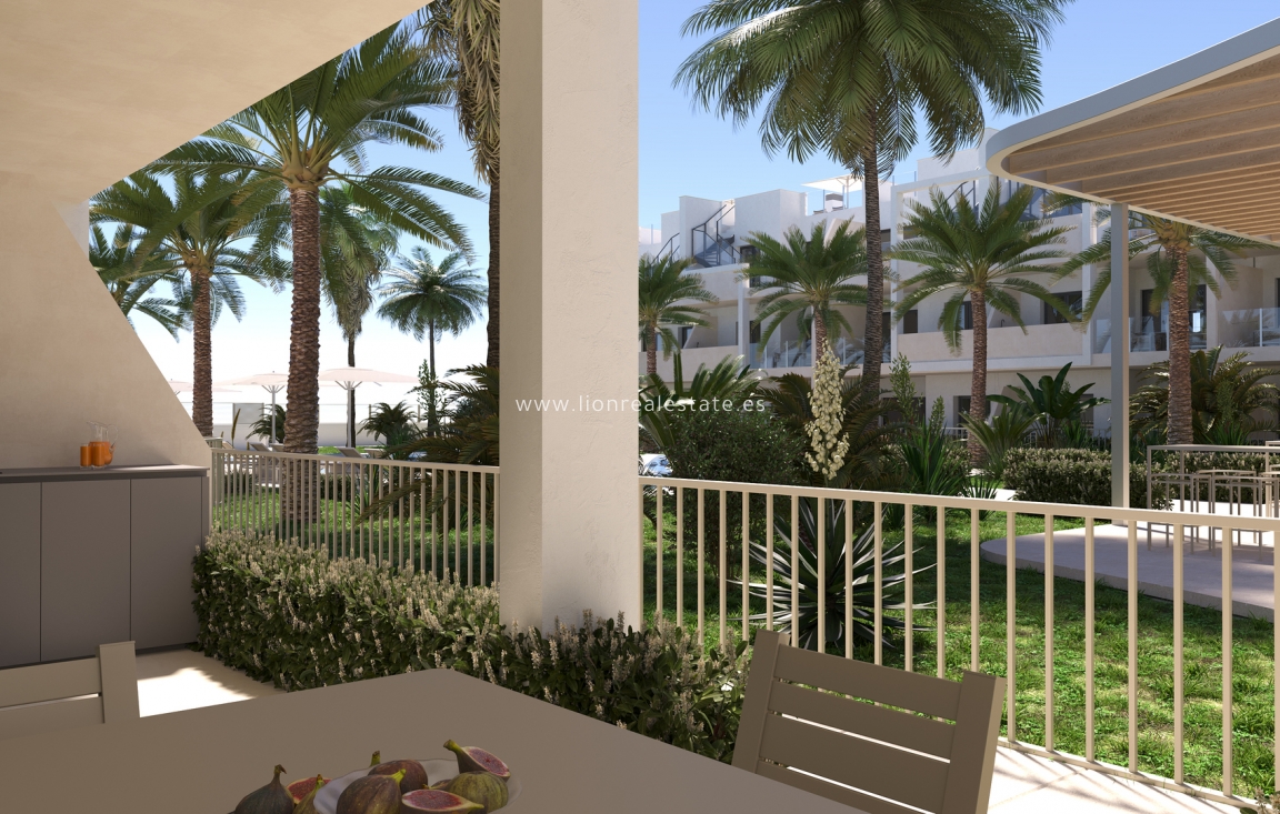 Новое здание - ground-floor - Torre-Pacheco