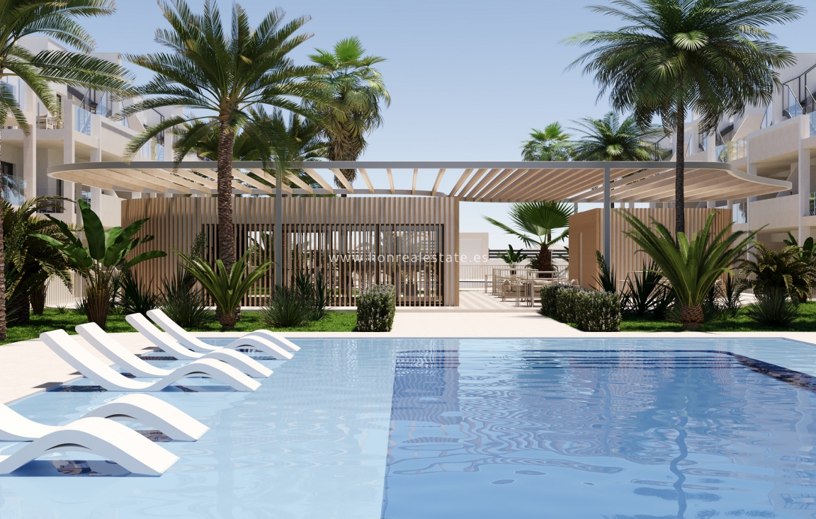 Новое здание - ground-floor - Torre-Pacheco