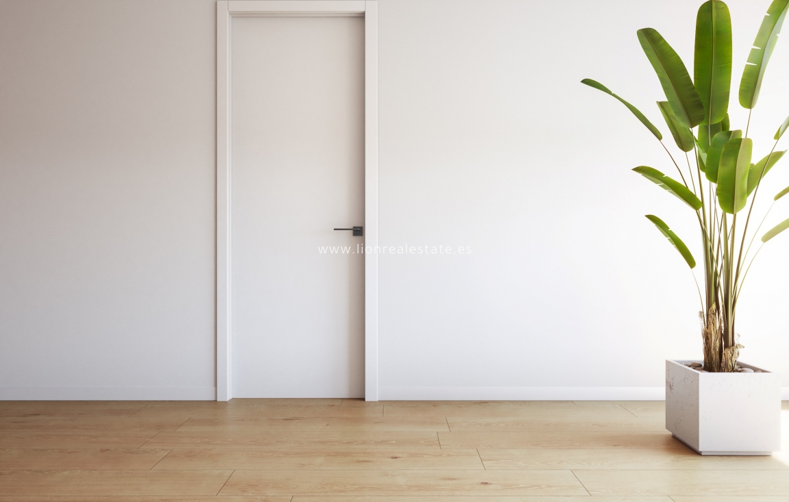 Новое здание - ground-floor - Torrevieja