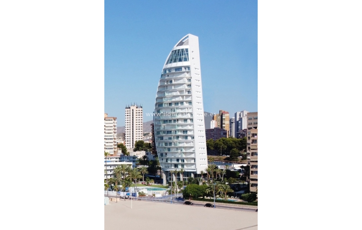 Новое здание - Квартира / квартира - Benidorm - Playa Poniente