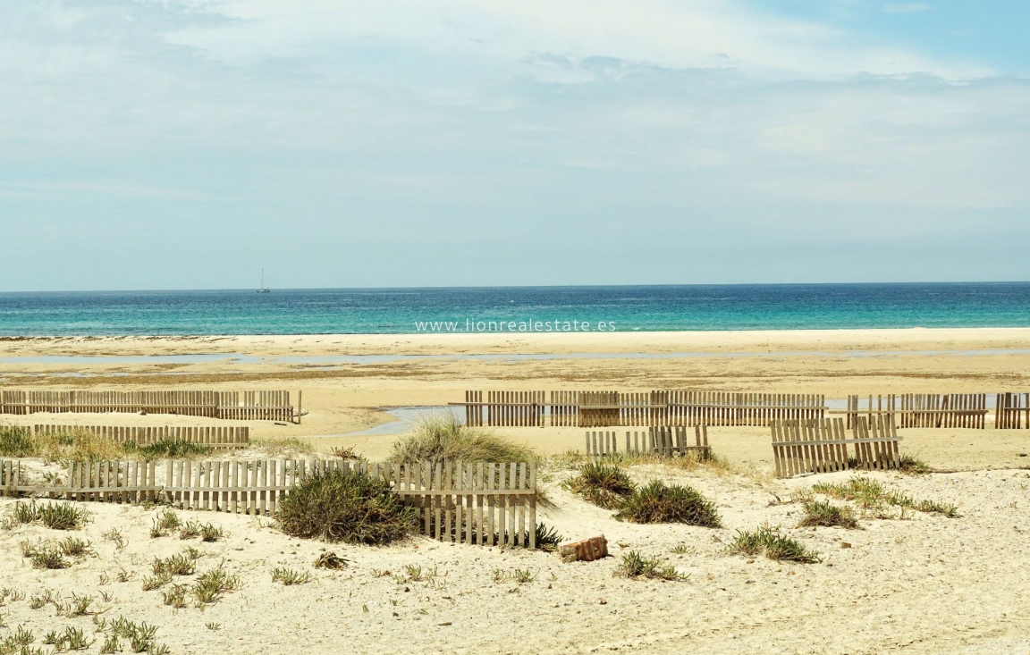 Новое здание - Квартира / квартира - La Manga del Mar Menor - La Manga Del Mar Menor