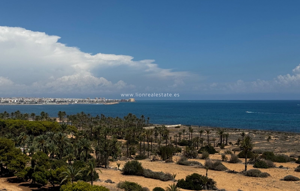 Новое здание - Квартира / квартира - Torrevieja - Punta Prima