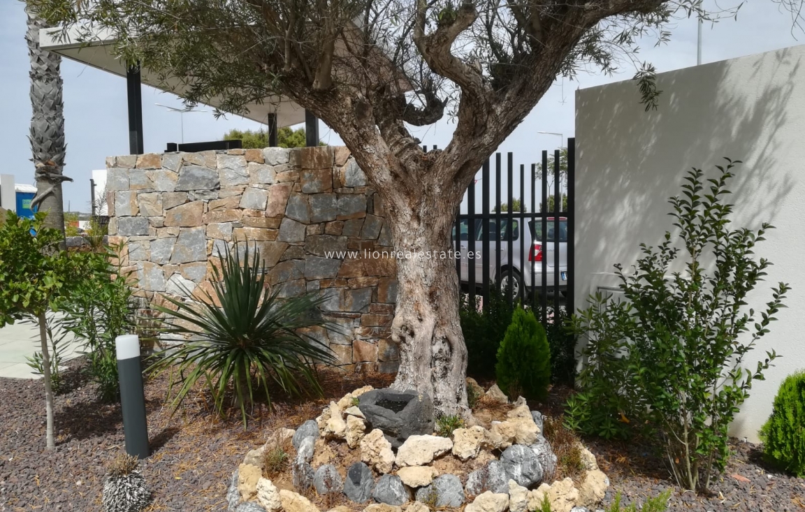 Новое здание - low-bungalow - Torrevieja