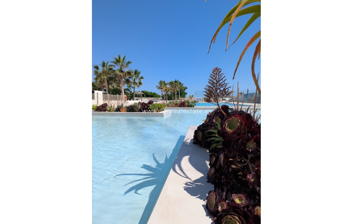 Новое здание - Пентхаус - Denia - Dénia