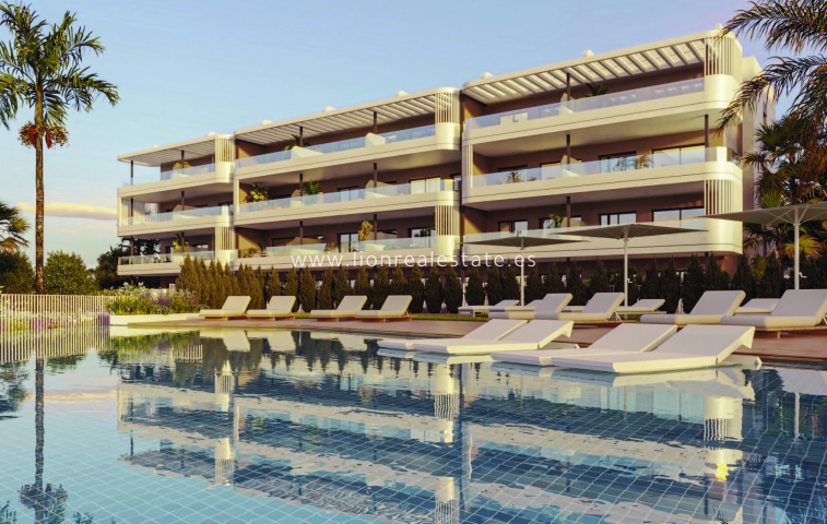 Новое здание - Пентхаус - Torrevieja