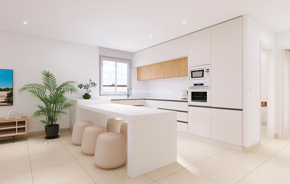 Новое здание - semi-detached - Bigastro