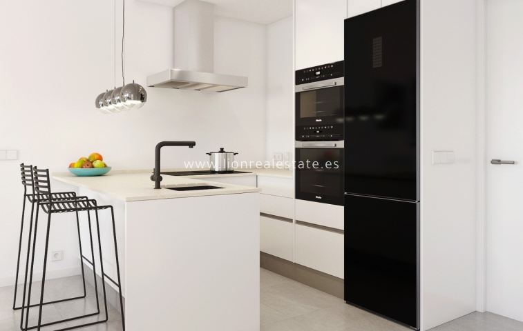 Новое здание - semi-detached - Pilar de La Horadada - Pilar de la Horadada
