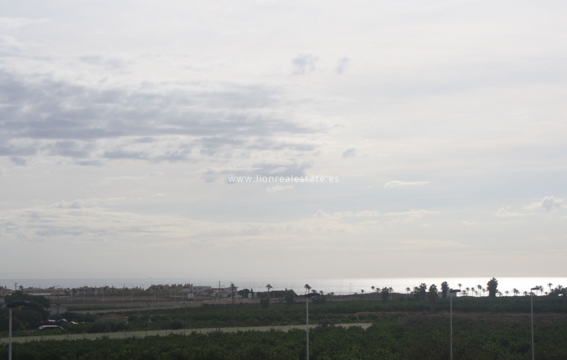 Новое здание - semi-detached - Torrevieja