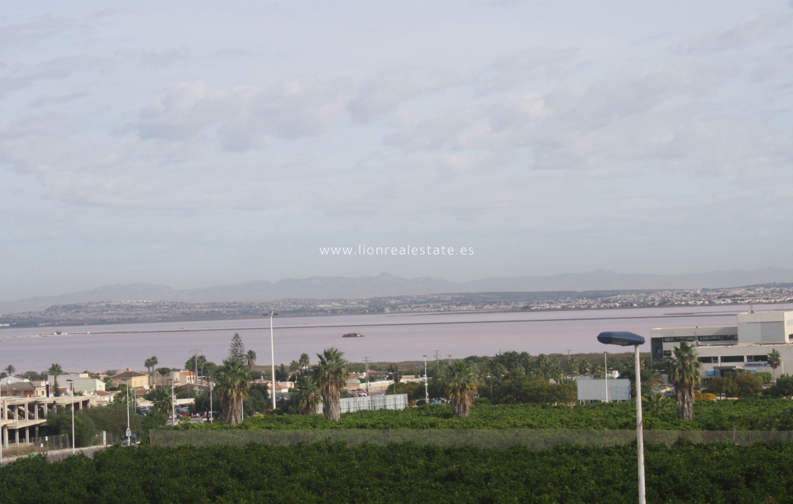 Новое здание - semi-detached - Torrevieja