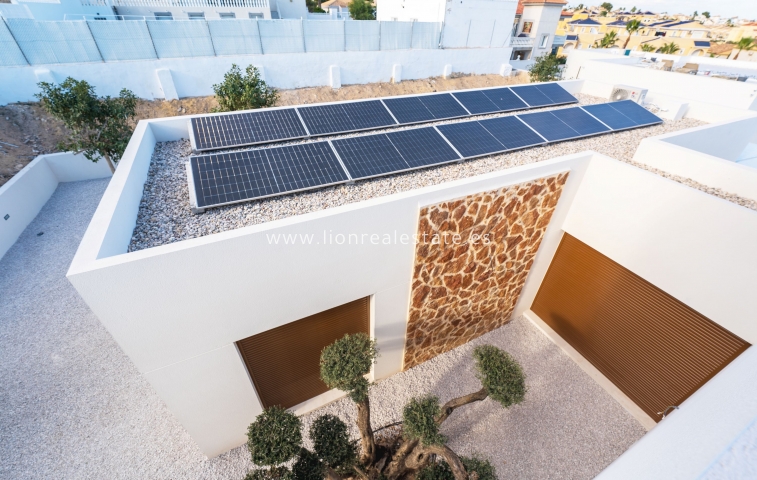 Новое здание - Villa - Ciudad Quesada